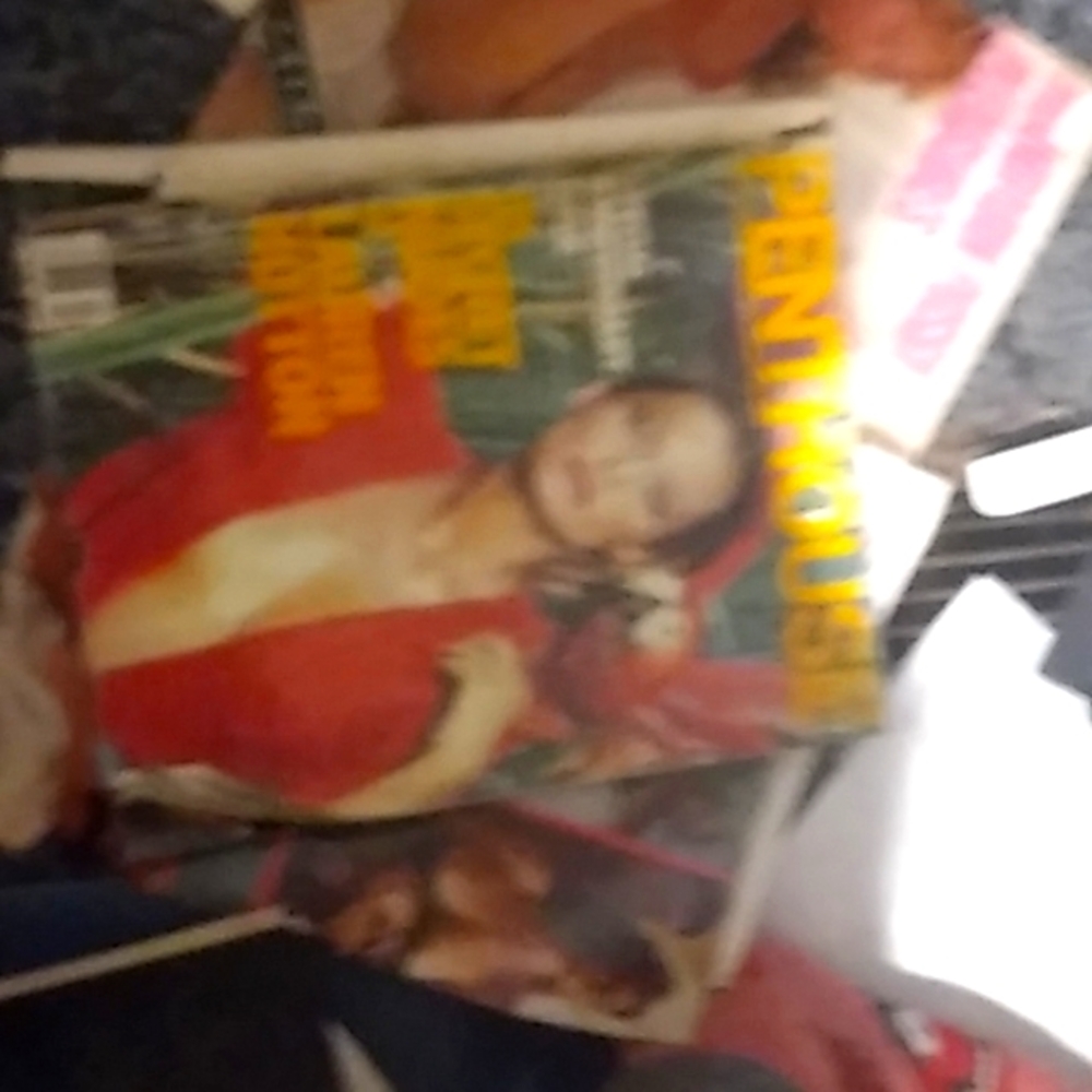 Multiple porn magazines